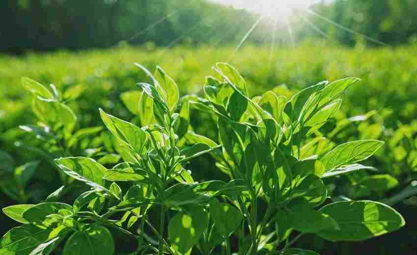 药材种植类网站建设中数据展示模块的选择技巧